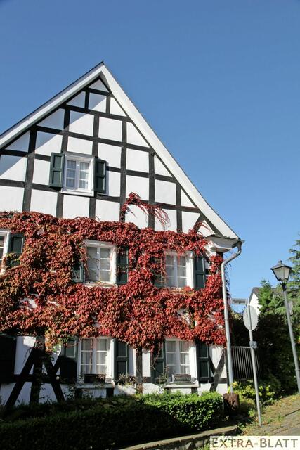 Foto: Steimel