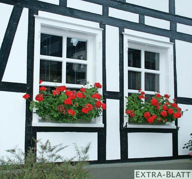 Foto: Steimel