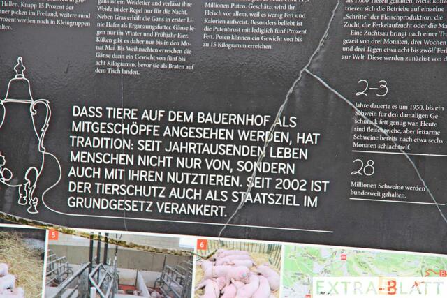 Foto: Steimel