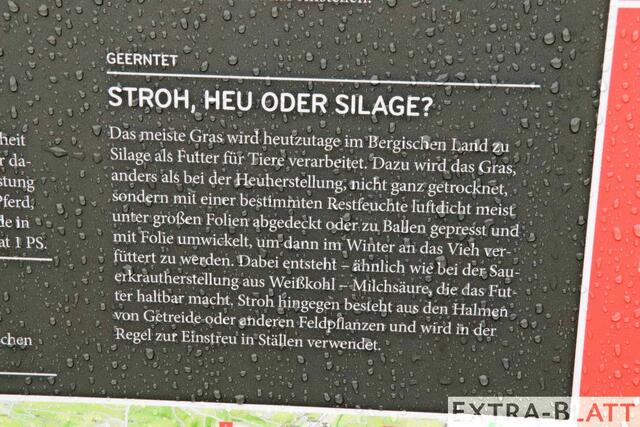 Foto: Steimel