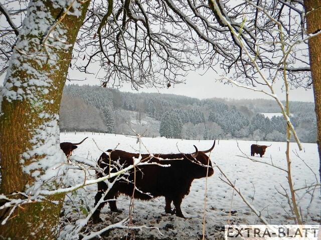 Foto: Steimel