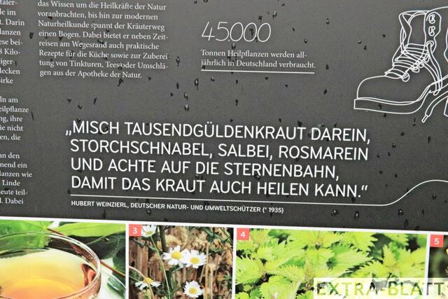 Foto: Steimel