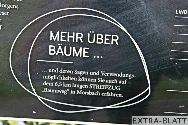 Foto: Steimel
