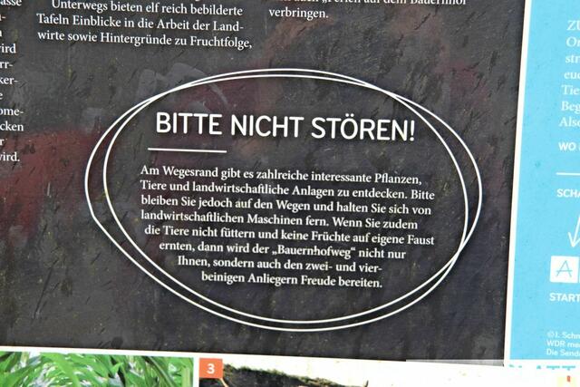 Foto: Steimel
