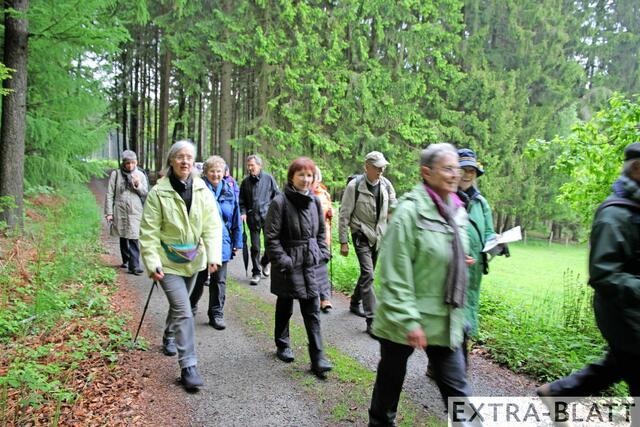 Foto: Steimel