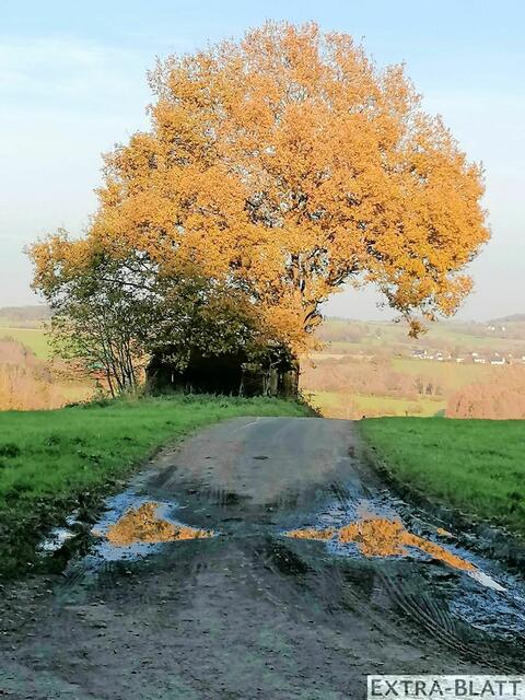 Foto: Steimel