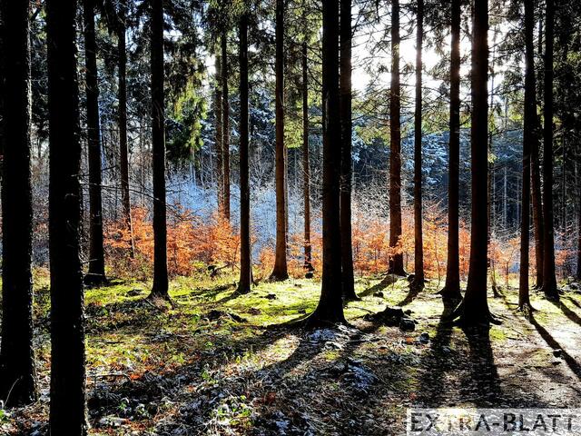 Foto: Steimel