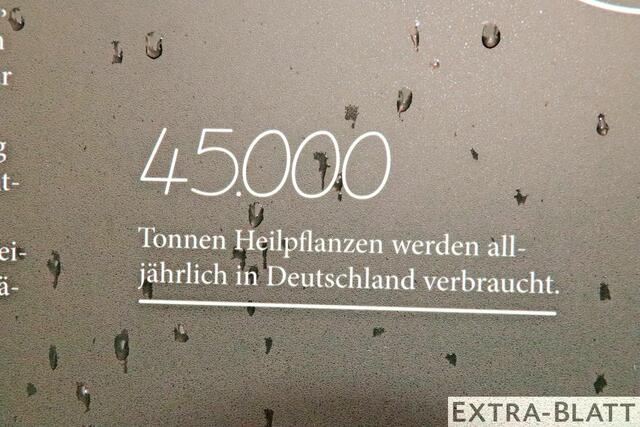 Foto: Steimel