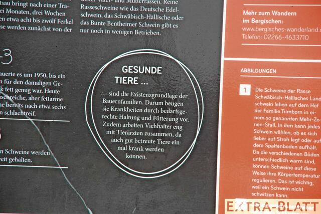 Foto: Steimel