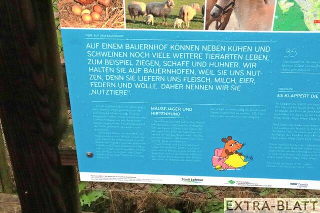 Foto: Steimel