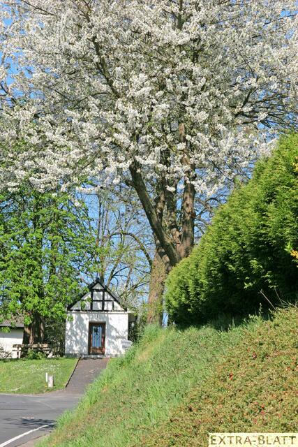 Foto: Steimel