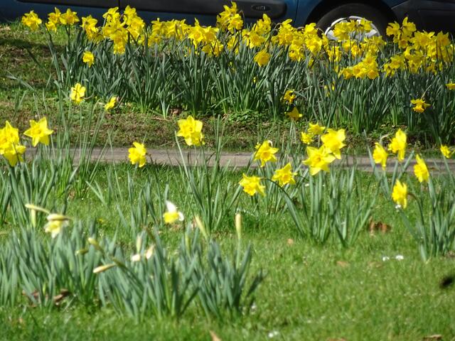 Geläut | Foto: Bildrechte: Stefania Herod