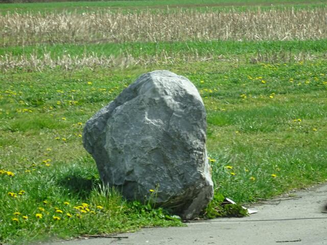 Löwenzahnstein | Foto: Bildrechte: Stefania Herod