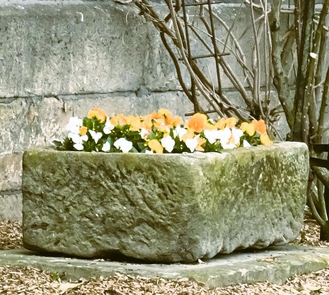 Trog | Foto: Bildrechte: Stefania Herod