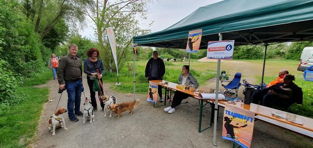 Willkommen an Checkpoint 6. Es begrüßt und dokumentiert das Team von "Woanders e.V.", Ausrichter der offenen Zeltstadt in Bergheim | Foto: Heinz Könen