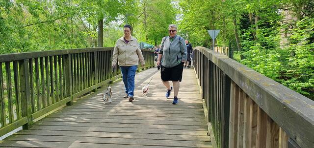 Nacho &amp; Ella, zwei Vierbeiner, die gern dabei und mittendrin sind | Foto: Heinz Könen