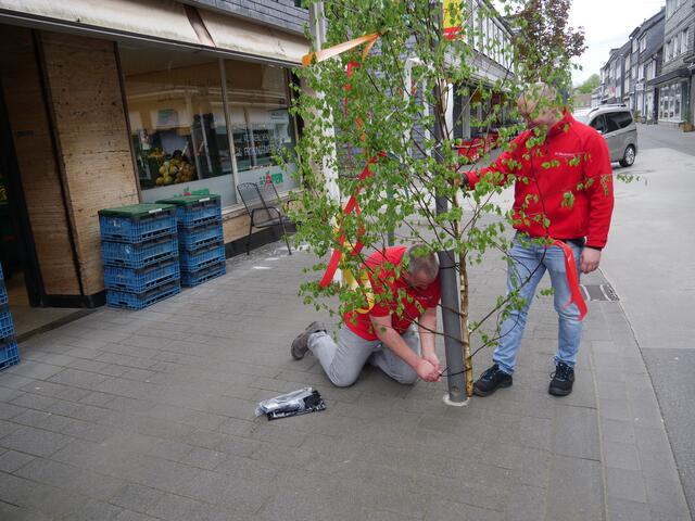 Foto: Wilfried Storb