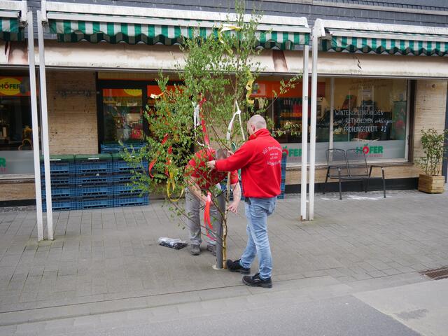 Foto: Wilfried Storb