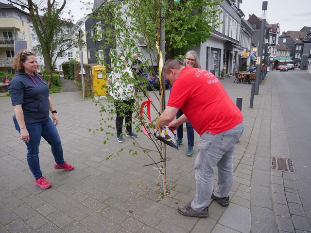 Foto: Wilfried Storb