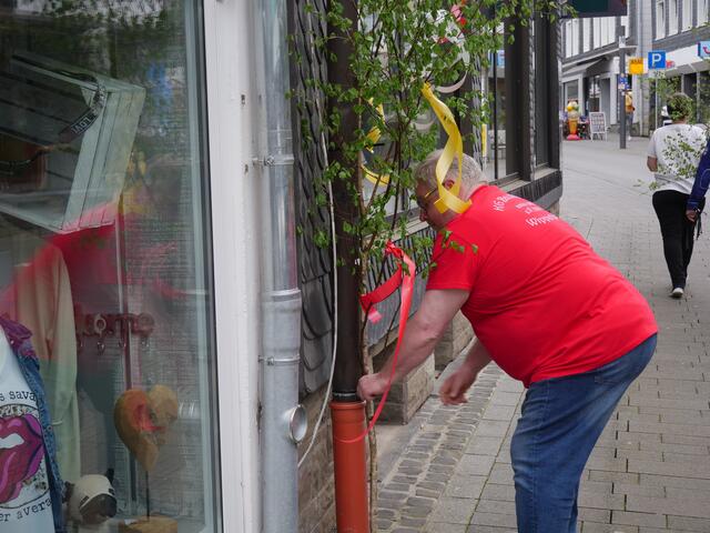 Foto: Wilfried Storb