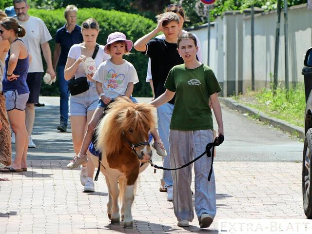 Foto: Gast