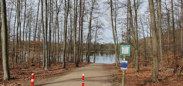 Rundweg um den Heider Bergsee im zeitigen Frühjahr | Foto: Heinz Könen