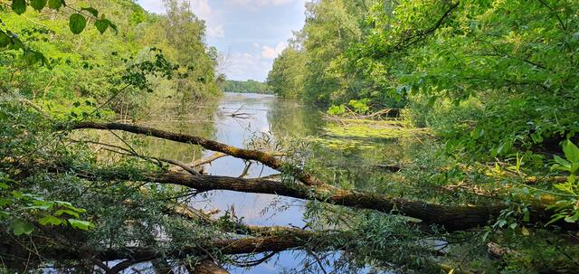 Zauberhafte Seenlandschaft | Foto: Heinz Könen