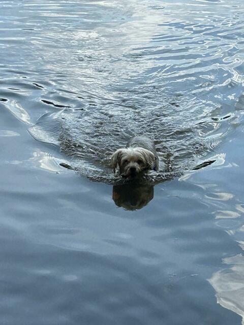 Abkühlung tut gut... | Foto: Iris Köhler
