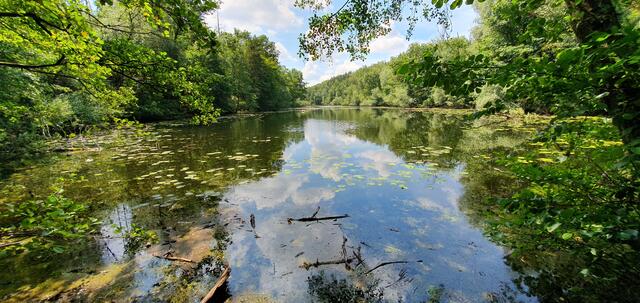 Ein Augenschmaus... | Foto: Heinz Könen