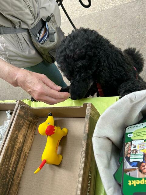 Nach zwei Runden um den Heider Bergsee war eine Belohnung von Fressnapf Klinger für unseren treuen Hundekumpel "Zaddy" fällig. | Foto: Iris Köhler