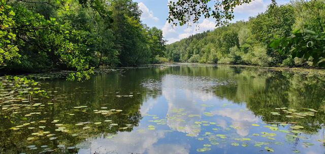 Zauberhafte Seenlandschaft | Foto: Heinz Könen