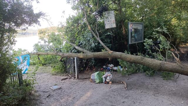 Der gefällte Baum mit der Fahne des Hürther Windsurfing Clubs. | Foto: HWSC