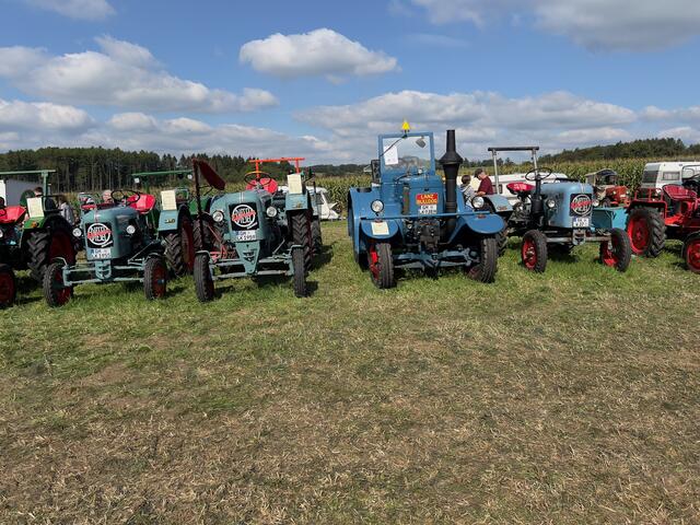 Foto: Wilfried Storb