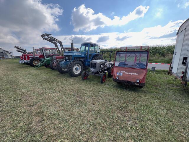 Foto: Wilfried Storb