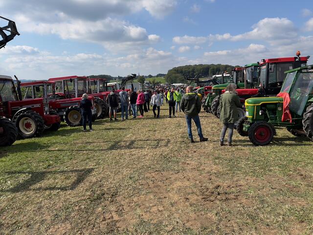 Ein Teil der Fahrzeugschau auf der Festwiese
 | Foto: Wilfried Storb