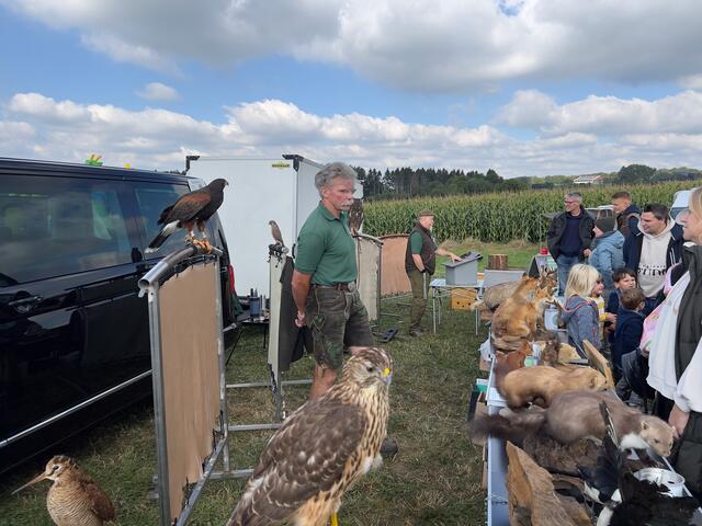 Foto: Wilfried Storb