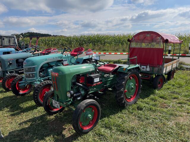 Foto: Wilfried Storb