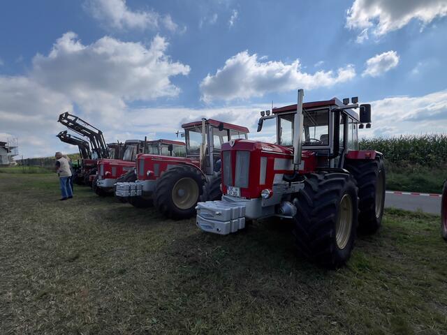 Foto: Wilfried Storb