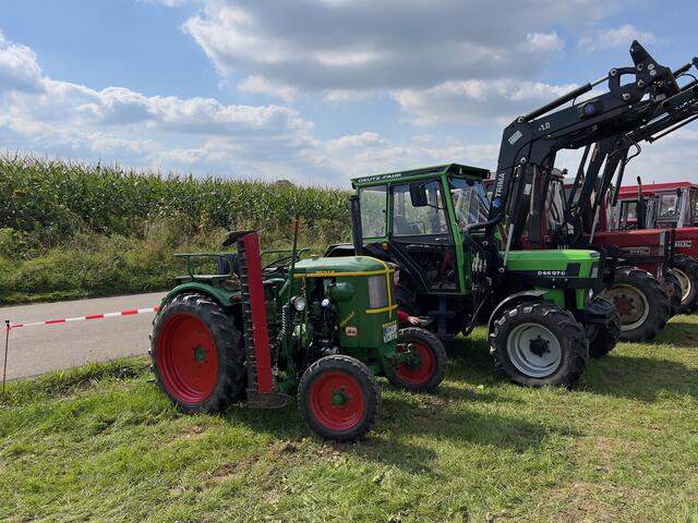 Foto: Wilfried Storb