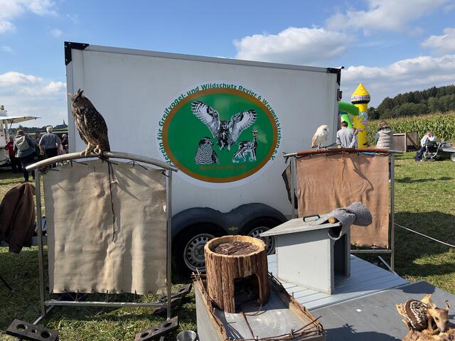 Die Eulen- und Greifvogelschau | Foto: Wilfried Storb