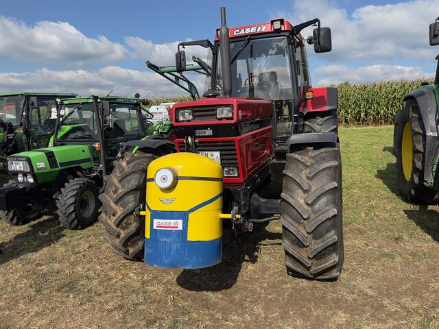 Foto: Wilfried Storb