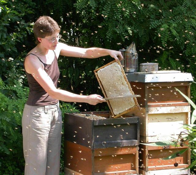 Dr. Pia Aumeier | Foto: Bildrechte: Dr. Aumeier