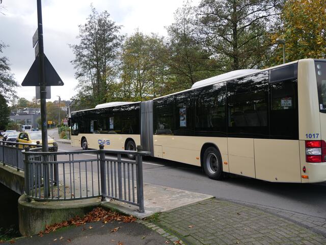 Foto: Wilfried Storb