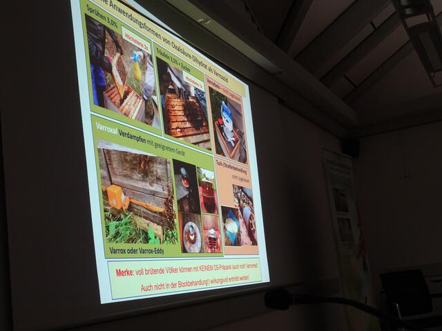 Varroa Behandlungsmethoden Bildmaterial Vortrag Dr. Pia Aumeier | Foto: Bildrechte: Stefania Herod