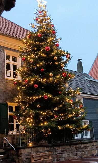 Tannenbaum auf dem Kirschplatz | Foto: privat