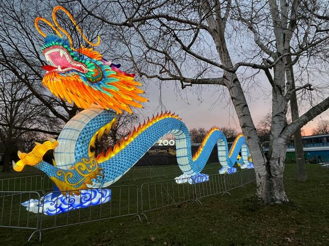 Der leuchtende Drache ist nur eine von 77 Figuren, auf die sich Besucher freuen dürfen. | Foto: Christian Knop