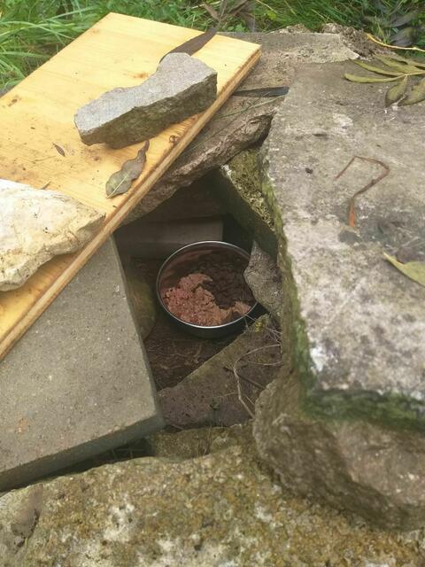 Zufütterung | Foto: Privat