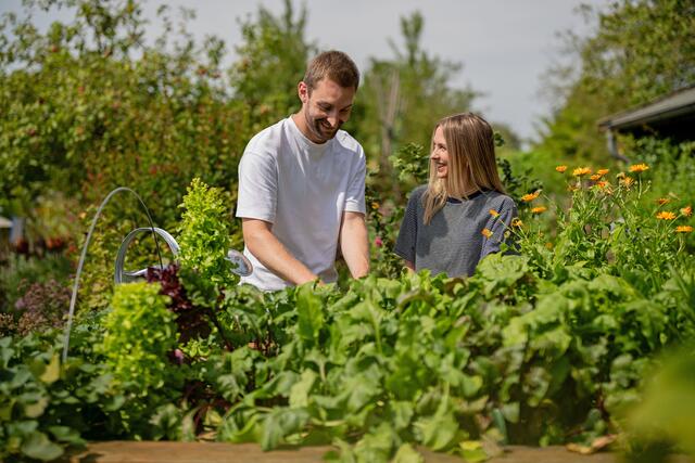 Gärtnern ohne schiefen Rücken: Ein Hochbeet ermöglicht das bequeme Anbauen von Salat, Gemüse und Kräutern. Foto: DJD/Floragard