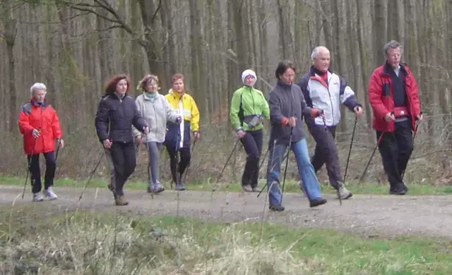 Die Nordic Walking Gruppen des VFG Meckenheim... | Foto: VFG Meckenheim