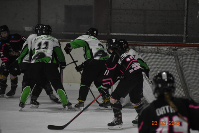 Foto: Bilder Damenmannschaft: YvonneRelaStars, Bild U13 RealStars